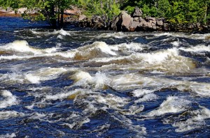 Wild Water